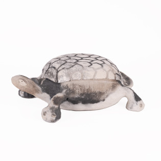 Grand Tortue Gris Avec Cercle Au Dessus Chadia