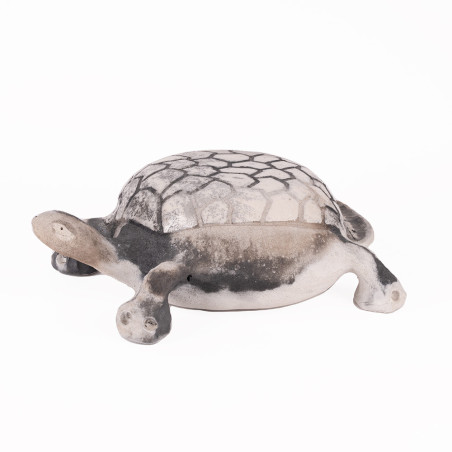 Grand Tortue Gris Avec Cercle Au Dessus Chadia