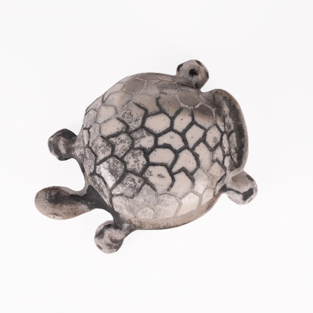 Grand Tortue Gris Avec Cercle Au Dessus 